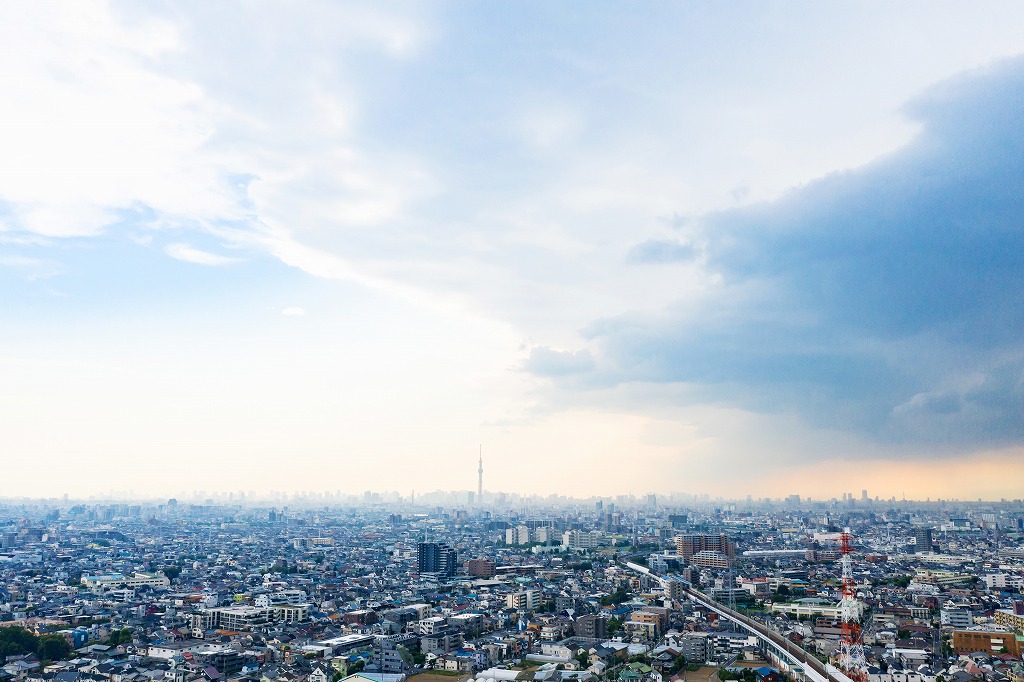 豊洲市場直送！新鮮な食材をお届けするドライバー業務の楽しさ
